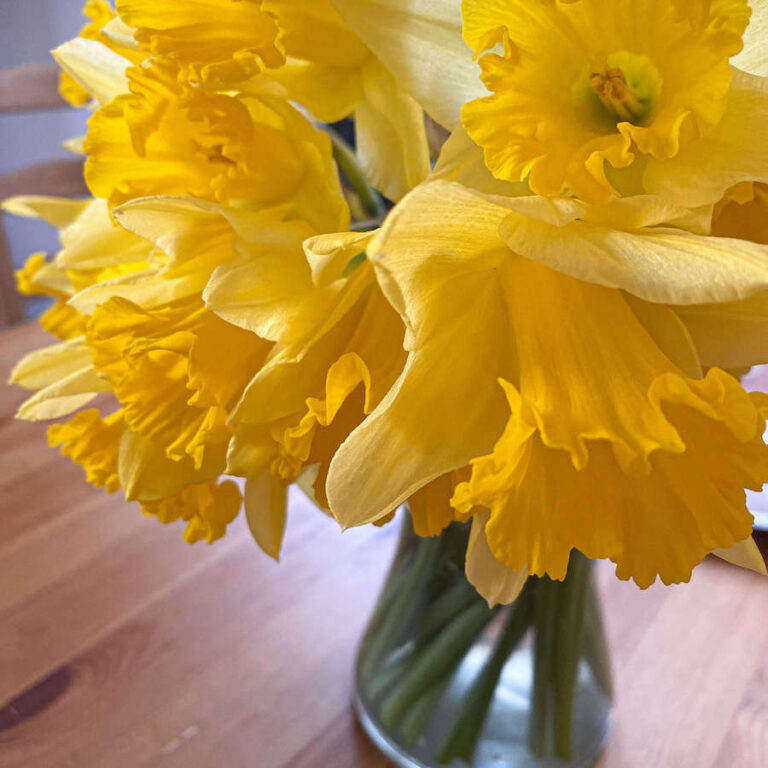 Lifestyle Blogs O'm Loving in March