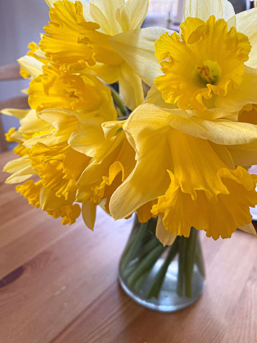 Lifestyle Blogs O'm Loving in March